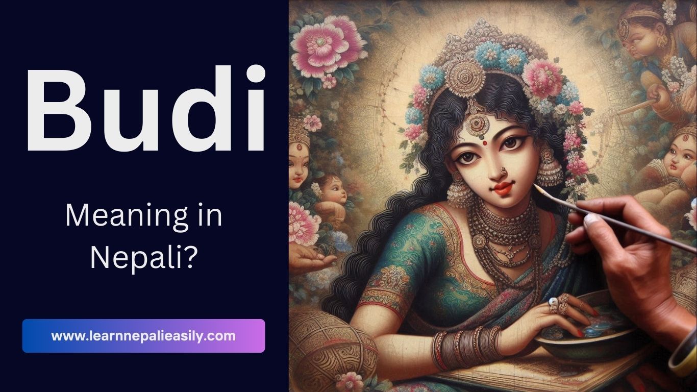 Budi meaning in Nepali